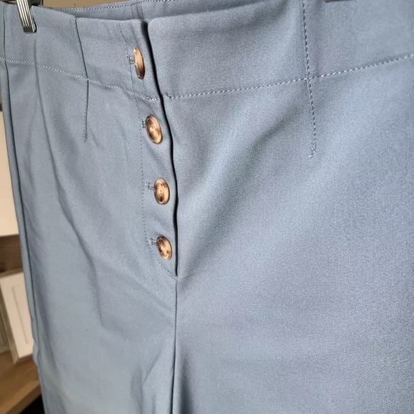 Loft Button Front High Waist Wide Leg Blue Pants Size 10 NWT $74.50 - Picture 8 of 13